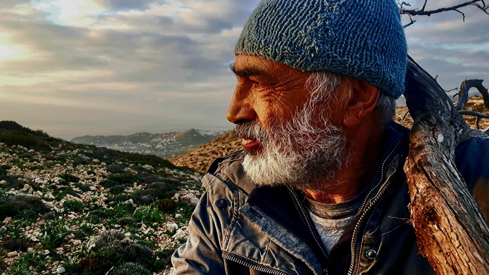 Portrait of Paul Raphael